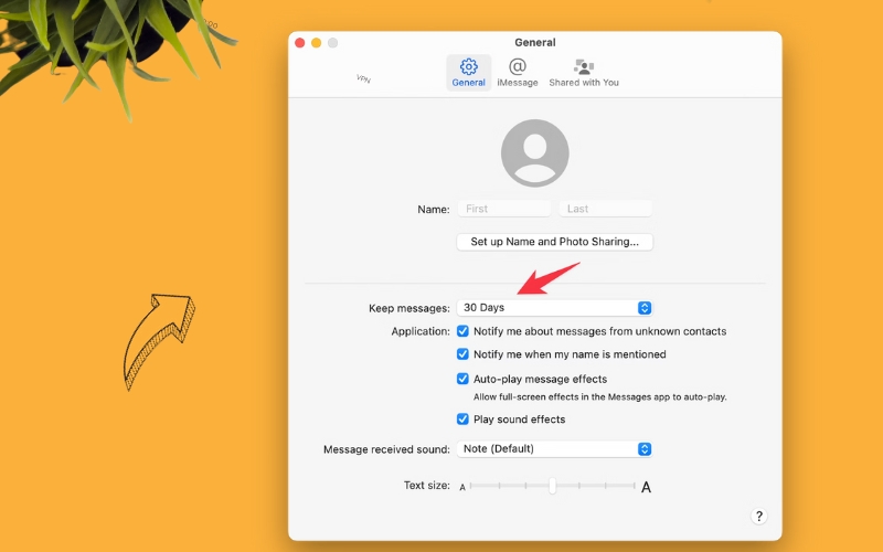 Delete texts on mac automatically