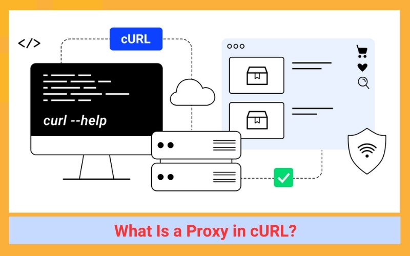 What Is a Proxy in cURL?