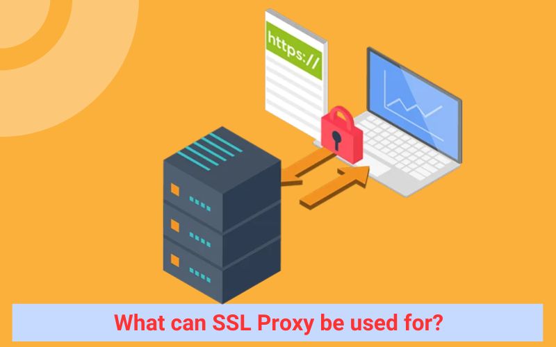 What can SSL Proxy be used for